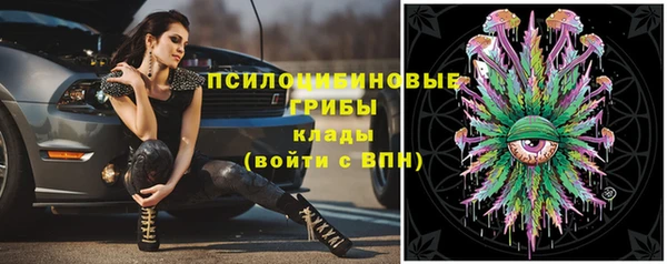 бошки Алзамай