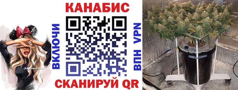 Бошки марихуана тримм  Купить  Райчихинск 
